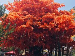 -济南方特东方神画