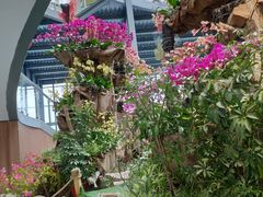 -南通洲际绿博园