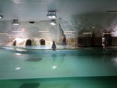 -北戴河圣蓝海洋公园