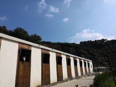 -枫露马术学院(藏书校区)