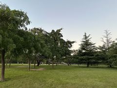 -泰丰公园