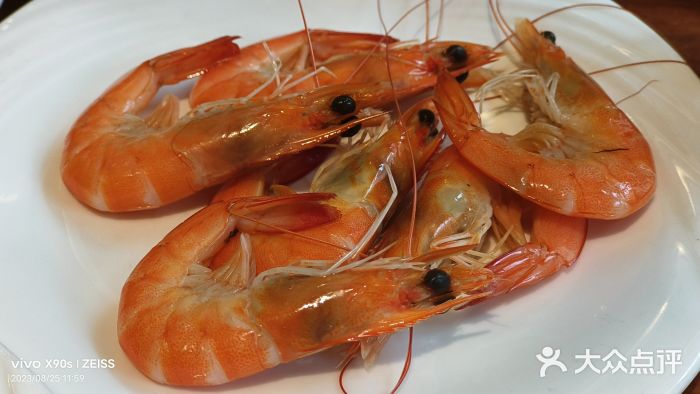 明月东一酒店·菲斯特自助餐厅图片