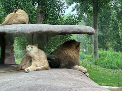 -北京野生动物园