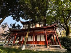 -温江公园