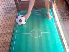 -蓝鲸湾汤泉(包河店)