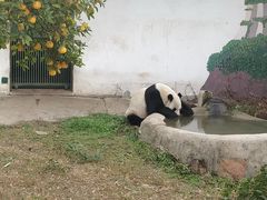 -无锡动物园·太湖欢乐园