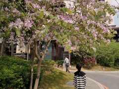 -清远熹乐谷温泉度假酒店