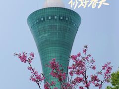 -狐尾山公园