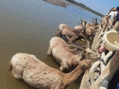 -宁波杭州湾国家湿地公园