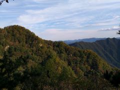 -王顺山国家森林公园
