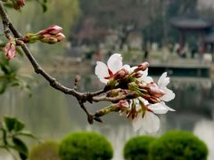 -堤角公园