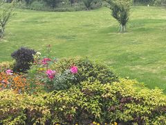 -东钱湖旅游度假区