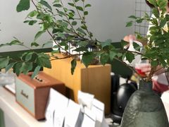 -Catch Bagel(芳草地店)