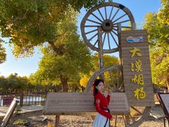 -金塔沙漠胡杨林景区