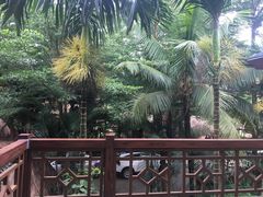 -呀诺达热带雨林