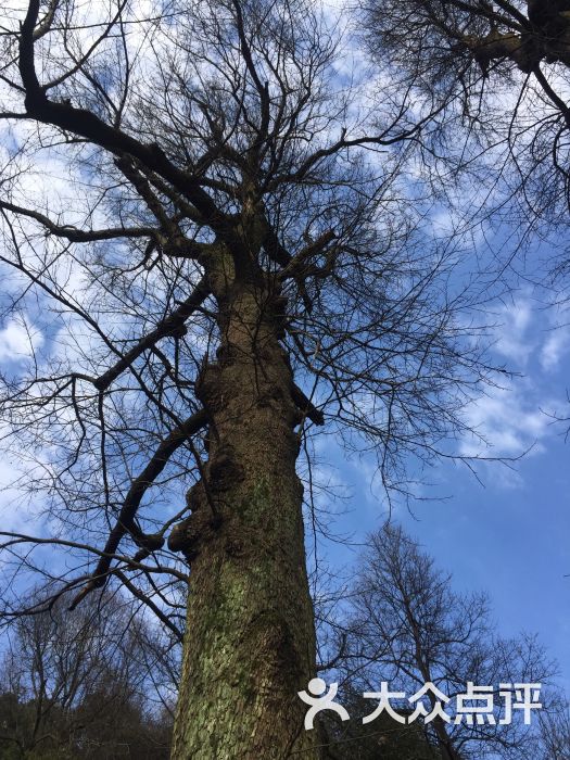 覃振墓图片 - 第1张