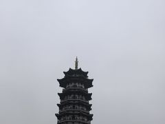 -洋湖国家湿地公园
