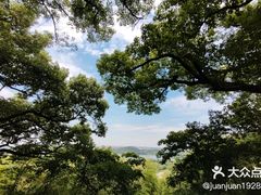 -上海佘山国家森林公园天马山园