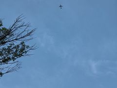 -木塔寺遗址生态公园