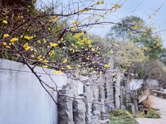 -无锡梅园公园