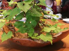 -木守西溪溪隐餐厅