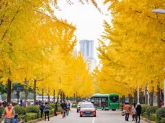 -四川大学(望江校区)