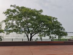 -金银湖国家城市湿地公园