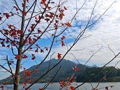 -广州市流溪河国家森林公园