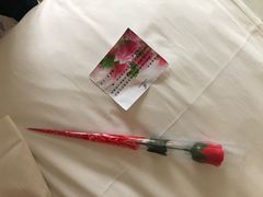 -张掖华辰国际大酒店
