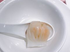 -东方御宴海鲜酒楼(棕泉酒店)