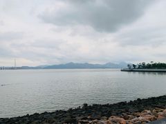 -深圳湾公园-停车场