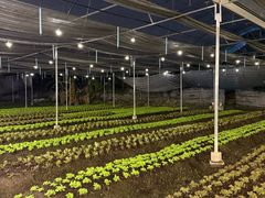 -Ohkajhu Organic Farm Sansai