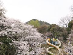 -杭州少年儿童公园