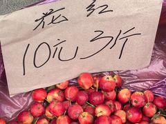 -松州古城