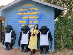 -漳州滨海火山岛自然生态风景区