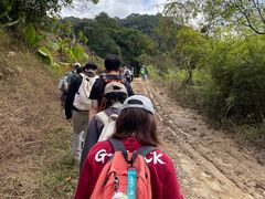 -黄埔油麻山森林公园