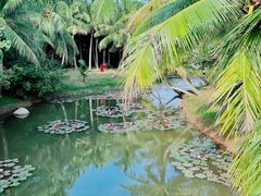 -白沙门生态公园