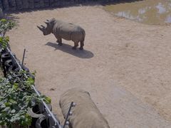 -西霞口神雕山野生动物世界