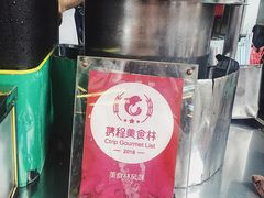 -罗汉果龙眼冰糖燉冬瓜