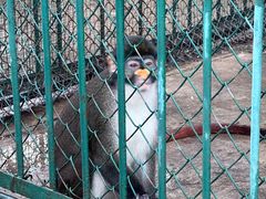-秦皇岛野生动物园