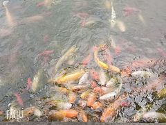 -月牙潭公园