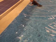 -浚涛游泳培训(协信中心店)