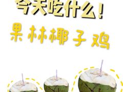 -百年果林椰子鸡(益田假日里店)
