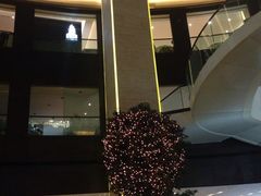 -皇朝尊会(龙之梦大酒店)