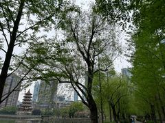 -宝岛公园