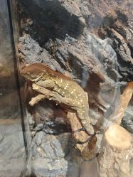 -Zoolung Zoolung动物主题公园(海信广场店)
