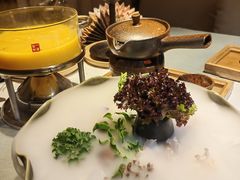 -叶叶菩提(太原别墅店)