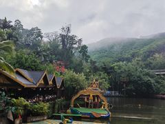 -西双版纳原始森林公园