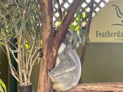 -费瑟代尔野生动物园