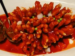 -醉庐·新上海菜(南京西路店)